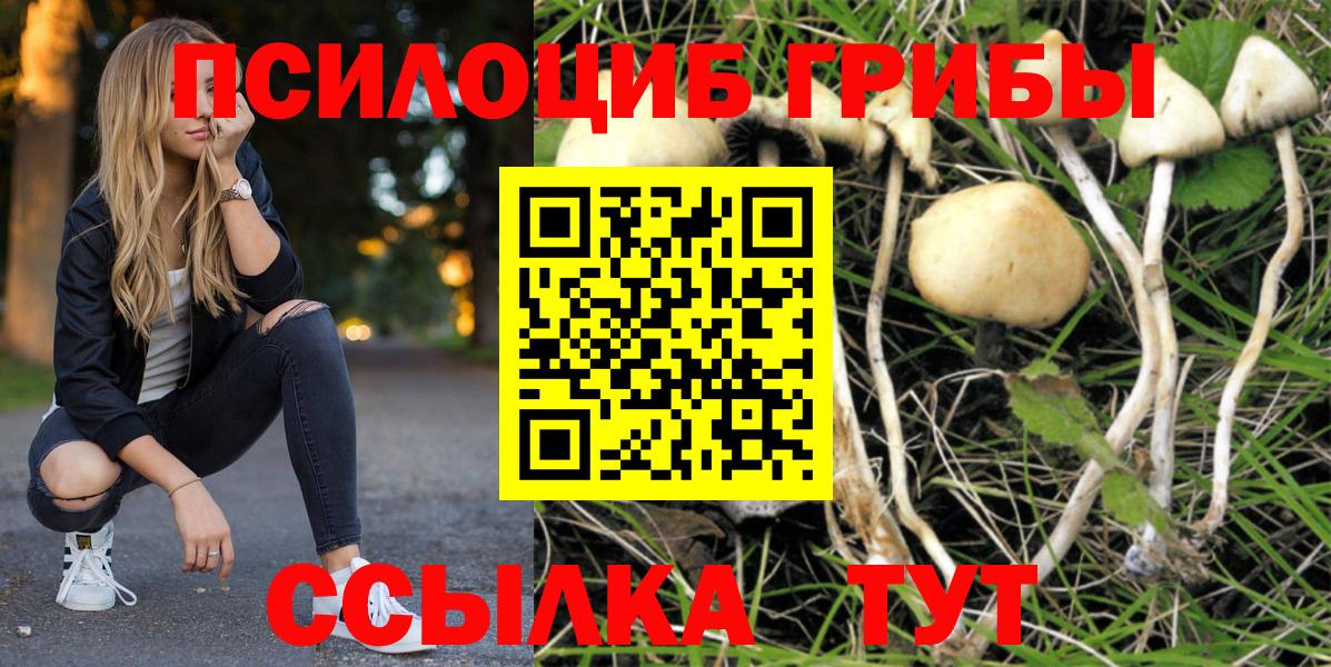 Псилоцибиновые грибы ЛСД Миллерово