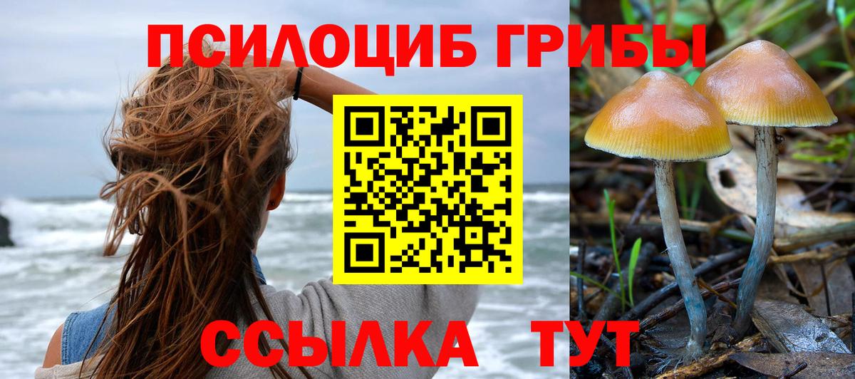 как найти закладки  Псилоцибиновые грибы мухоморы  Вход с VPN  Миллерово 